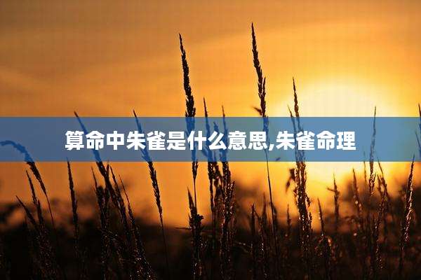 算命中朱雀是什么意思,朱雀命理