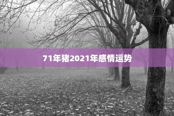 71年猪2021年感情运势