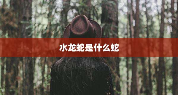 水龙蛇是什么蛇