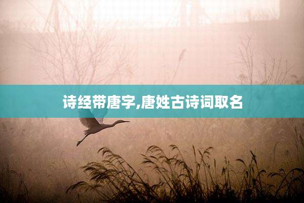 诗经带唐字,唐姓古诗词取名