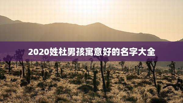 2020姓杜男孩寓意好的名字大全