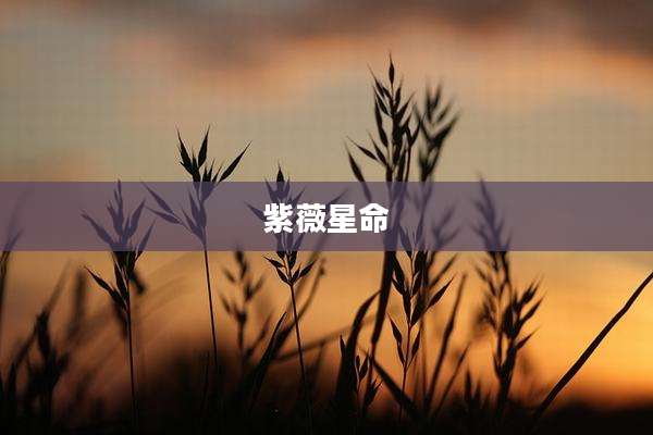 紫薇星命