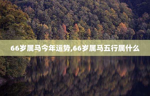 66岁属马今年运势,66岁属马五行属什么