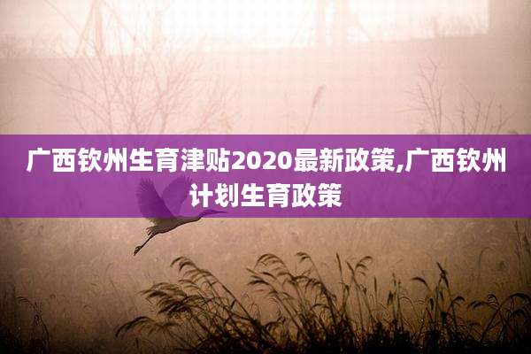 广西钦州生育津贴2020最新政策,广西钦州计划生育政策