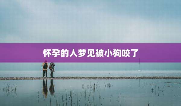 怀孕的人梦见被小狗咬了