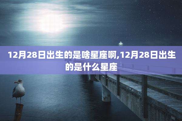 12月28日出生的是啥星座啊,12月28日出生的是什么星座