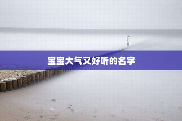 宝宝大气又好听的名字