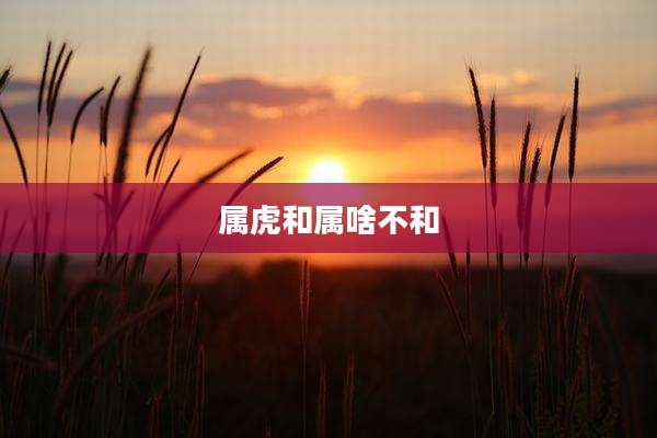 属虎和属啥不和