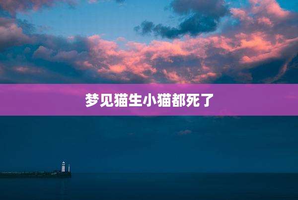 梦见猫生小猫都死了