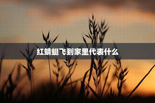 红蜻蜓飞到家里代表什么