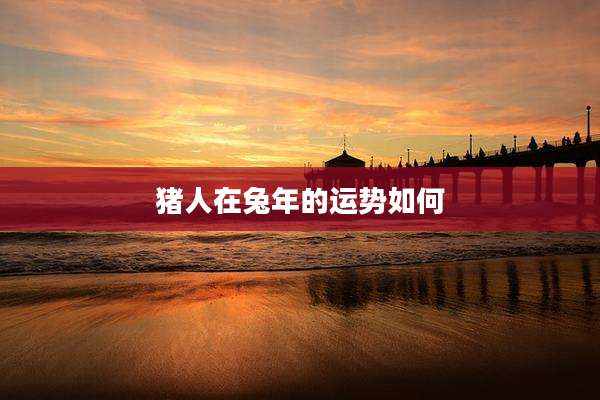 猪人在兔年的运势如何