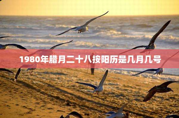 1980年腊月二十八按阳历是几月几号