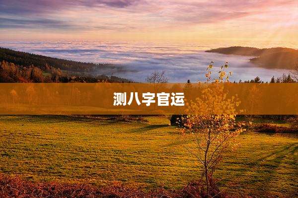 测八字官运