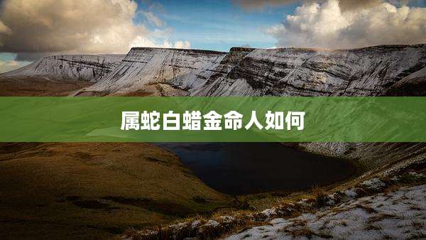 属蛇白蜡金命人如何