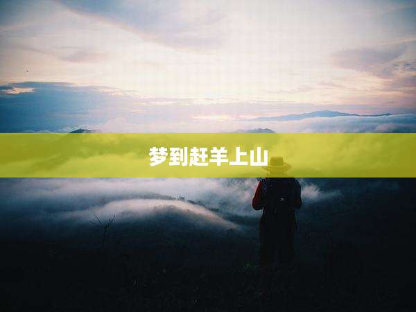 梦到赶羊上山