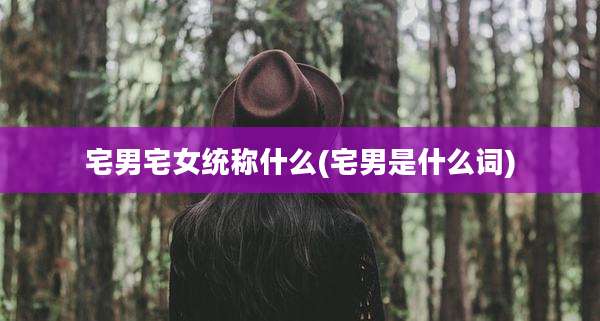 宅男宅女统称什么(宅男是什么词)