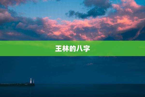 王林的八字