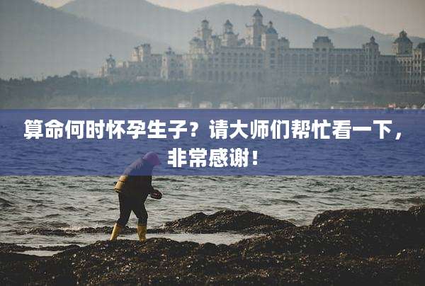 算命何时怀孕生子？请大师们帮忙看一下，非常感谢！
