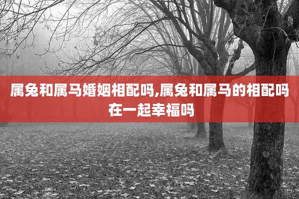 属兔和属马婚姻相配吗,属兔和属马的相配吗 在一起幸福吗