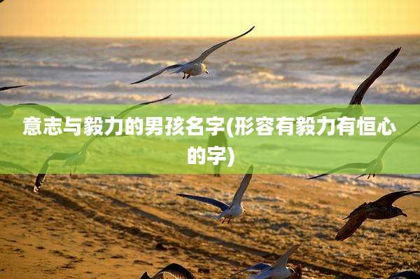 意志与毅力的男孩名字(形容有毅力有恒心的字)