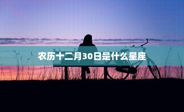农历十二月30日是什么星座