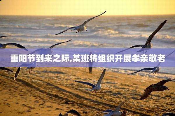 重阳节到来之际,某班将组织开展孝亲敬老