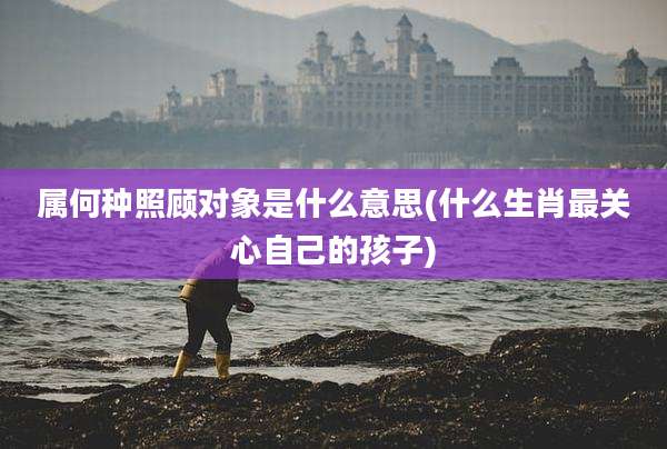 属何种照顾对象是什么意思(什么生肖最关心自己的孩子)