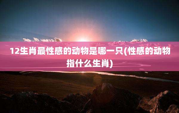 12生肖最性感的动物是哪一只(性感的动物指什么生肖)