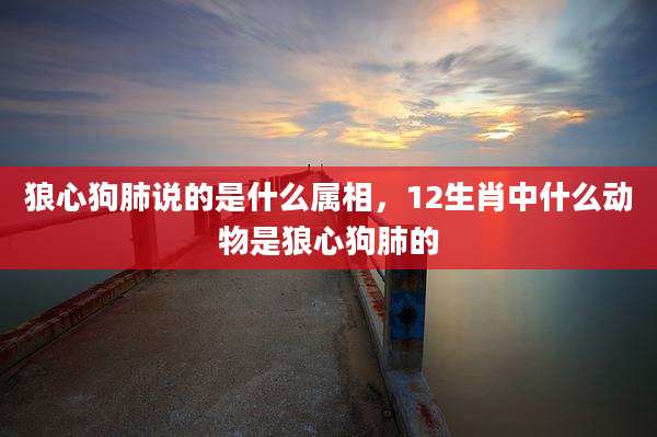 狼心狗肺说的是什么属相,12生肖中什么动物是狼心狗肺的