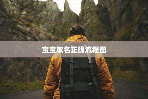 宝宝取名正确流程图