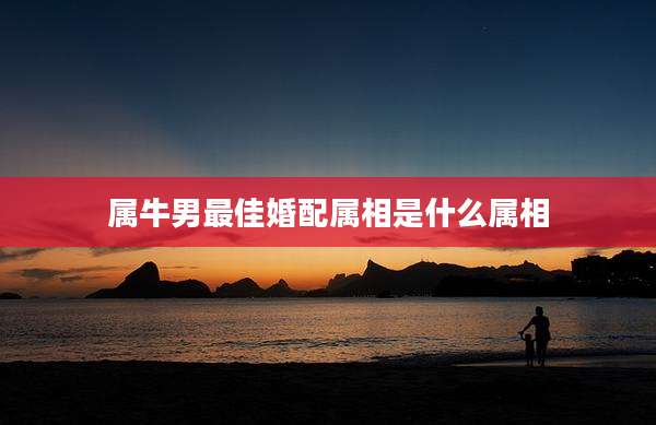 属牛男最佳婚配属相是什么属相
