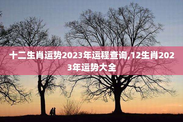 十二生肖运势2023年运程查询,12生肖2023年运势大全