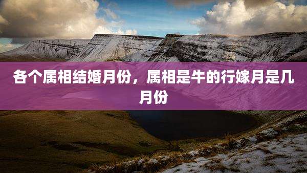 各个属相结婚月份，属相是牛的行嫁月是几月份