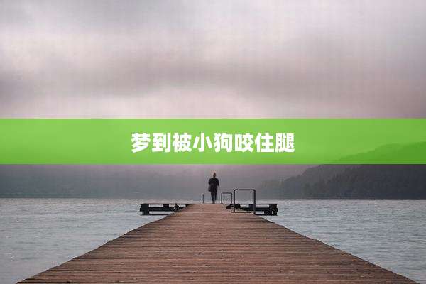 梦到被小狗咬住腿