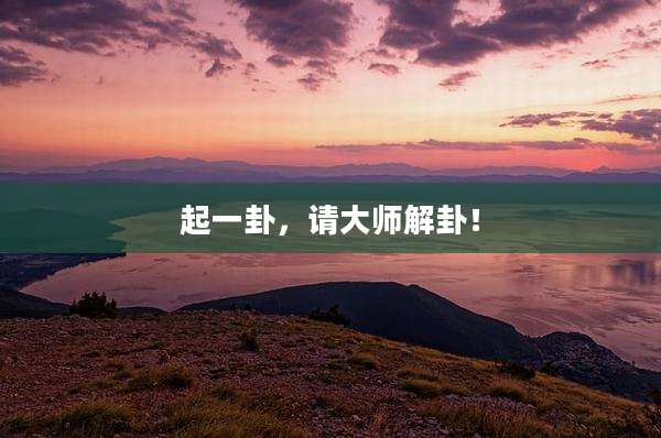起一卦,请大师解卦!