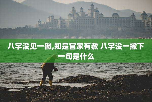 八字没见一撇,知是官家有赦 八字没一撇下一句是什么