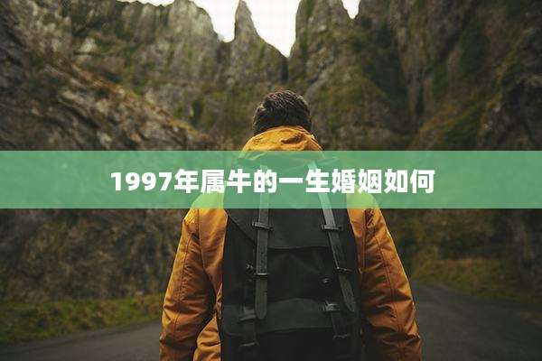 1997年属牛的一生婚姻如何