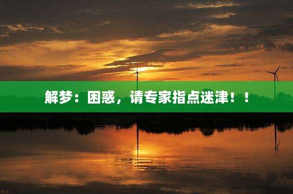 解梦:困惑,请专家指点迷津!!