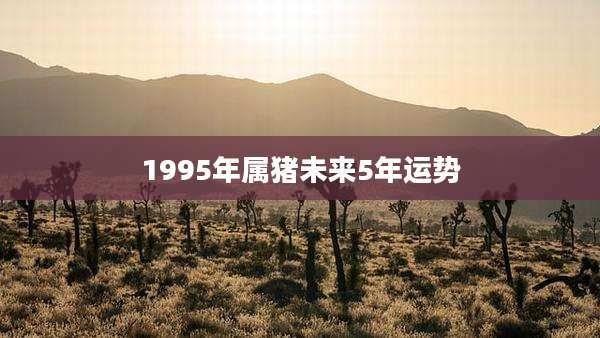 1995年属猪未来5年运势