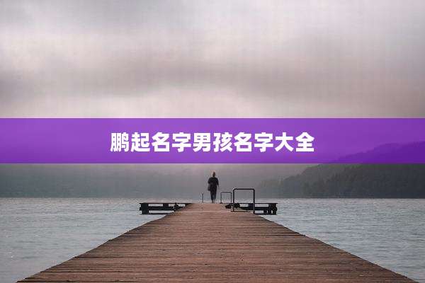鹏起名字男孩名字大全