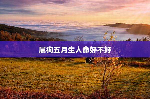属狗五月生人命好不好