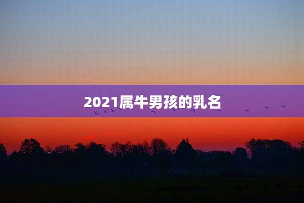 2021属牛男孩的乳名