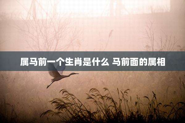 属马前一个生肖是什么 马前面的属相