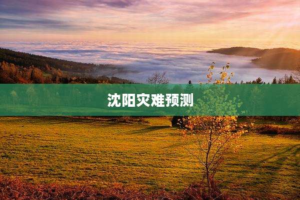 沈阳灾难预测
