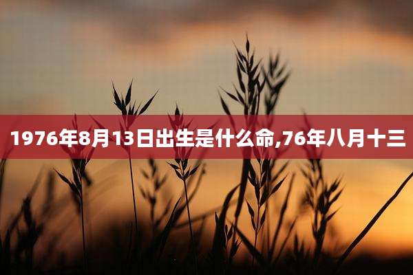 1976年8月13日出生是什么命,76年八月十三
