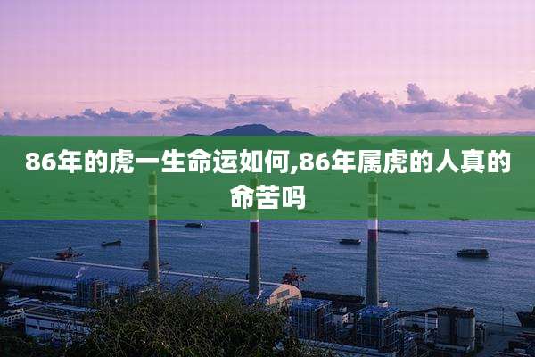 86年的虎一生命运如何,86年属虎的人真的命苦吗