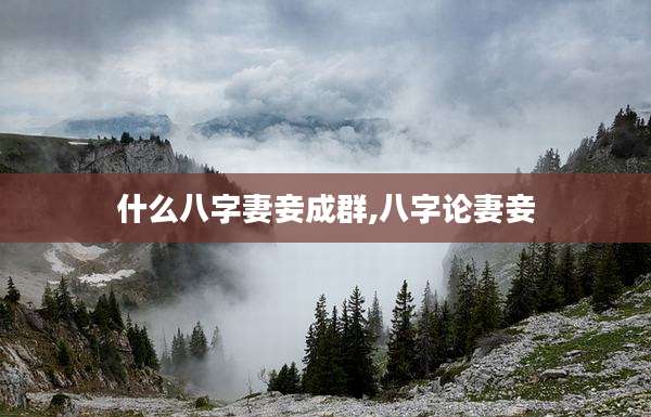 什么八字妻妾成群,八字论妻妾