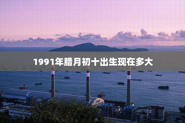 1991年腊月初十出生现在多大