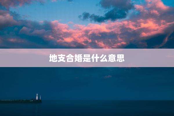 地支合婚是什么意思
