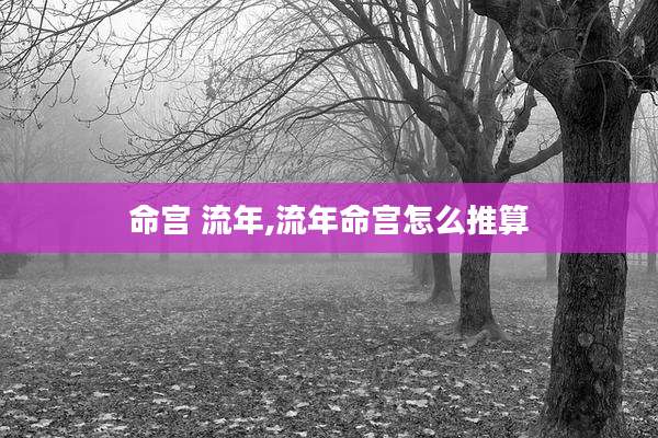 命宫 流年,流年命宫怎么推算